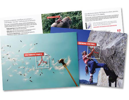 adobeacrobat1 direct mail postcards