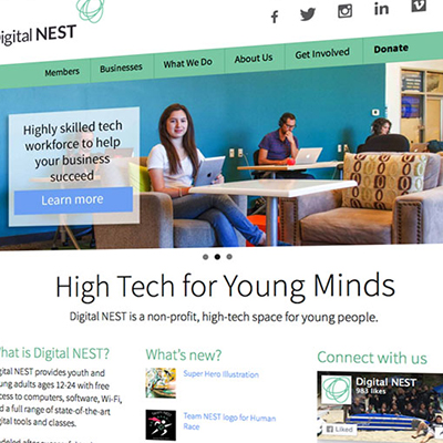 Digital NEST website redesign